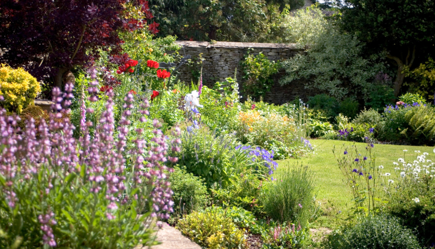 Mario Pognat, l'expert de la création de jardin à Vanves